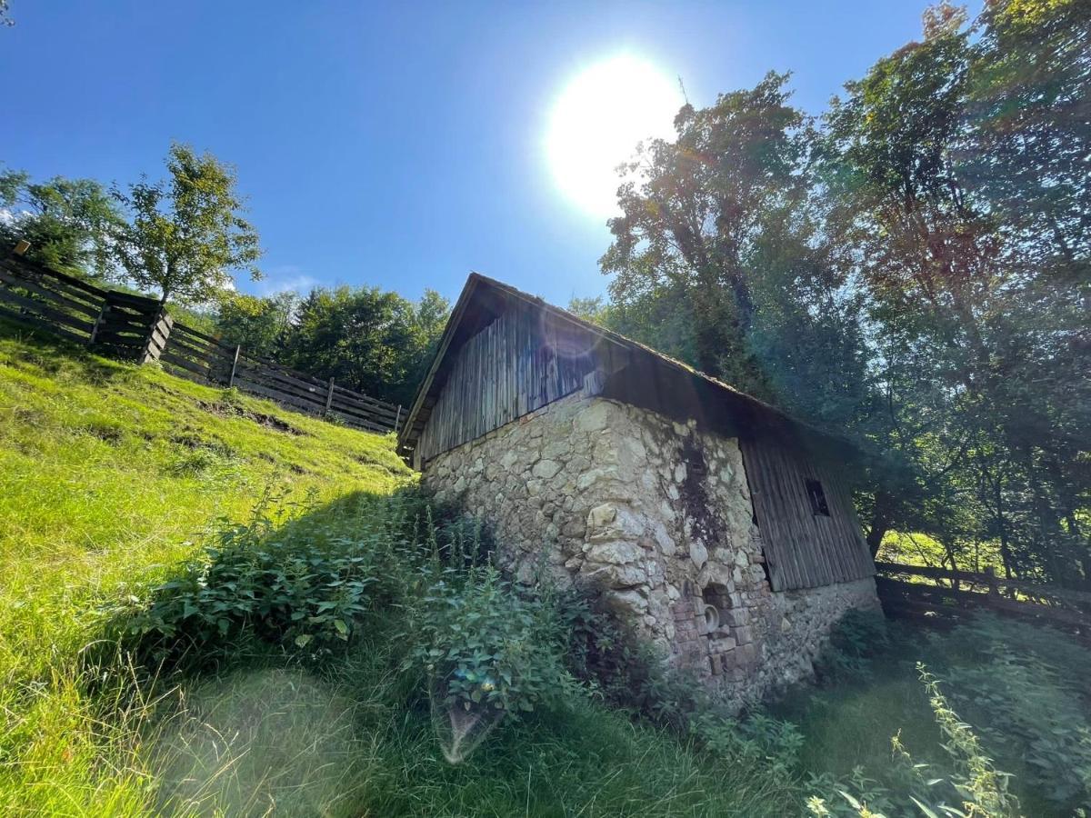 Buechlhof - App. Breitenstein Lilienfeld Eksteriør billede